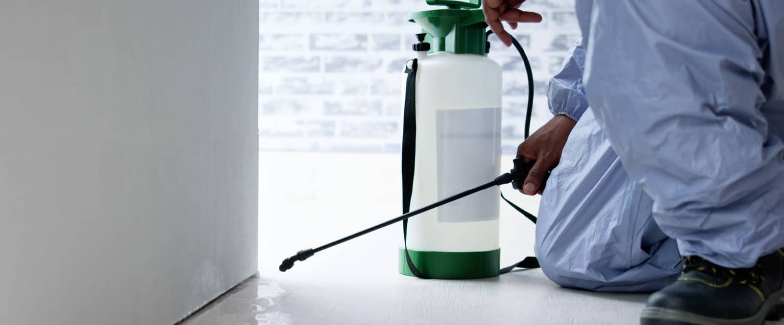 Move in Pest Control