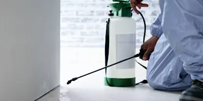 Move in Pest Control